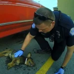 Saving a Dog’s Life: The Heroic Act of Police Officers