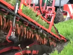 Advanced carrot harvester, Efficient carrot harvesting machine, Modern carrot harvesting technology, Three-row carrot harvester, Best carrot harvester for large farms, High-performance carrot harvester, Carrot harvesting equipment, Durable carrot harvester, User-friendly carrot harvesting machine, Innovative carrot harvester features