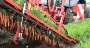 Advanced carrot harvester, Efficient carrot harvesting machine, Modern carrot harvesting technology, Three-row carrot harvester, Best carrot harvester for large farms, High-performance carrot harvester, Carrot harvesting equipment, Durable carrot harvester, User-friendly carrot harvesting machine, Innovative carrot harvester features