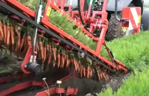 Advanced carrot harvester, Efficient carrot harvesting machine, Modern carrot harvesting technology, Three-row carrot harvester, Best carrot harvester for large farms, High-performance carrot harvester, Carrot harvesting equipment, Durable carrot harvester, User-friendly carrot harvesting machine, Innovative carrot harvester features