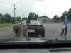 Surprise Marriage Proposal Traffic Stop Love Story, Unexpected Proposal Ideas, Romantic Traffic Stop Proposal, Surprise Engagement Stories, Unique Proposal During Traffic Stop, Heartwarming Proposal Tales, Unconventional Engagement Ideas, Traffic Stop Turns into Proposal, Memorable Proposal Experiences, Creative Ways to Propose