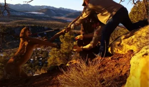 wild cougar rescue, cougar in trap, cougar rescue Utah, wildlife rescue, wildlife officers, animal rescue, cougar trapped, cougar in danger, cougar rescue story, cougar rescue video