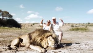 viral video,lionhunters,most viewed,video,viral,best of,most shared,best of,so dangerous,dangerous videos,dangerous animals in video,animals,lion,wildlife,hunters,best tools for hunters,video for hunters,best hunting video