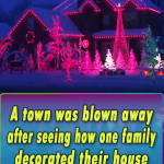 A town was blown away after seeing how one family decorated their house for Christmas