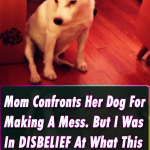Mom Confronts Her Dog For Making A Mess. But I Was In DISBELIEF At What This Dog Did Next! ROFL!