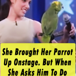 She Brought Her Parrot Up Onstage.
