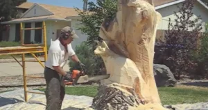 Tree stump wood carving, Wood carving transformation, Upcycling tree stump, Chainsaw wood carving, Art from tree stump, Creative wood upcycling, Power tool wood carving, Airbrush wood sculpture, Eco-friendly wood art, Wood carving artist