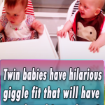 Twin babies have hilarious giggle fit that will have you laughing along