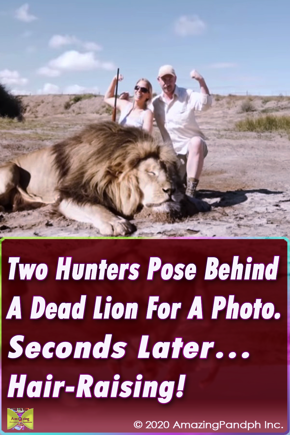 viral video,lionhunters,most viewed,video,viral,best of,most shared,best of,so dangerous,dangerous videos,dangerous animals in video,animals,lion,wildlife,hunters,best tools for hunters,video for hunters,best hunting video