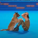 Unleashing Talent: FCI Dog Dance World Championships