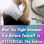 What This Flight Attendant Did Before Takeoff Is HYSTERICAL. The Entire Plane Was In Stitches