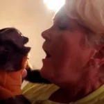 Zoey, The Baby Capuchin Monkey Who Melted Hearts at Her Grandma’s Return 🐒