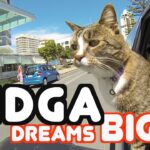 Video thumbnail for youtube video znil9hv2v5q