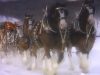 Christmas, Horses, Advert, Budweiser, Clydesdales, Memories,
