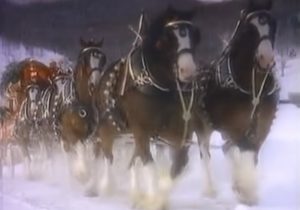 Christmas, Horses, Advert, Budweiser, Clydesdales, Memories,