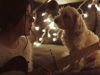 dogs, Christmas, Song, reaction, adorable, Guitar,
