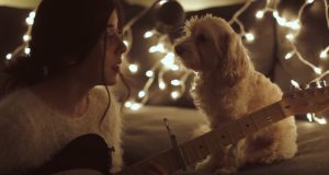 dogs, Christmas, Song, reaction, adorable, Guitar,