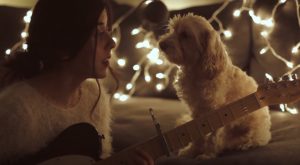 dogs, Christmas, Song, reaction, adorable, Guitar,