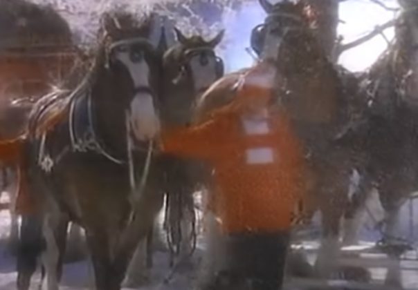 2022 Budweiser Christmas Commercial Budweiser Christmas Advert AmazingPandph