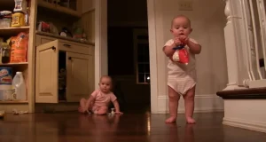 Twin babies, marshmallow feast, viral videos, parenting joys, cute toddler moments, sibling bond, simple pleasures, family life, parenting chaos, heartwarming stories