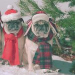 Video thumbnail for youtube video qhi3h7myqgc