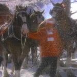 Video thumbnail for youtube video wz0dix7dsi8