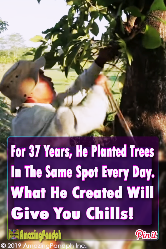 trees,forest,plants,tree planting,human being,viral video,best video ever,most viewed,most shared,how to plant trees,how to creat a forest,how to save nature,mother nature,incredible,brave man