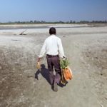 For 37 Years, He Planted Trees In The Same Spot Every Day. What He Created Will Give You Chills!