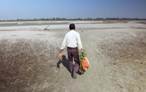 trees,forest,plants,tree planting,human being,viral video,best video ever,most viewed,most shared,how to plant trees,how to creat a forest,how to save nature,mother nature,incredible,brave man