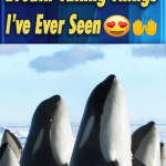 2 11