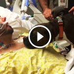 They Brought dog to the Hospital for Her Final Farewell to Dad…Her Reaction Is Bringing Everyone To Tears…