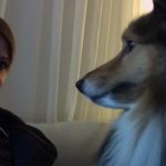 She turns on the webcam in front of her dog