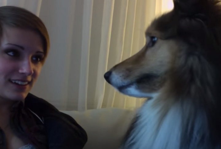 She Turns On The Webcam In Front Of Her Dog AmazingPandph