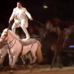 Cavalier Stands by his horse