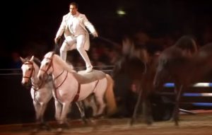 horse, amazing, wow, omg, talent, skills, man, brave,