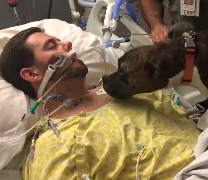 viral,video,incredible,interview,accident,veteran,dog,pets,animals,touching,attack,animal attack,dog attack,touching video,touchingstorie,viral video,viral stuff,viral storie,best sories,most viewed stories,stories for dogs,stories for pets,hospital