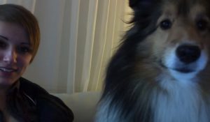 viral,video,funny video,funniest video,animals and technology,animals and camera,dogs in front of the camera,dogs,pets,puppies,puppy,pugs,dress,dressing,viral video,cute,cute puppies,amazing,most viewed,most shared,most watched