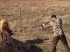 animals, deer, rescue, save, life, helping, accident,