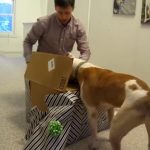 This Dog Wasnt Supposed To Live To See The Gift