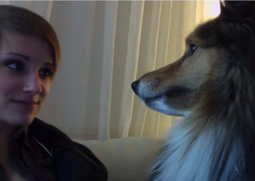 She turns on the webcam in front of her dog : AmazingPandph