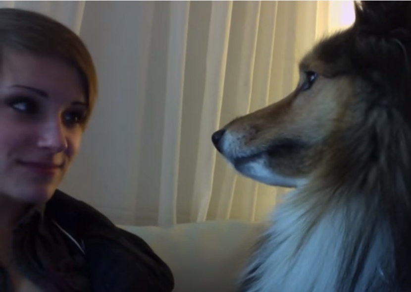 Webcam with Dog.