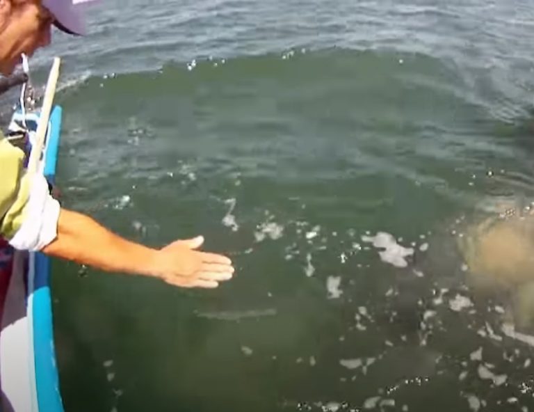 He Gently Stretched His Hands Toward Water: AmazingPandph