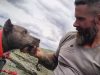 animal, video, animals ,dogs, cats, dog videos, cat videos, pit bull, pibble, recovery, addiction, hiking, hiking with dog, dog friendship, best stories, terrific, awesome, unbelievable,