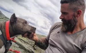animal, video, animals ,dogs, cats, dog videos, cat videos, pit bull, pibble, recovery, addiction, hiking, hiking with dog, dog friendship, best stories, terrific, awesome, unbelievable,