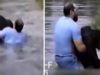 chimp, rescue, amazing, best rescue, amazing save, chimpanzee, ape, zoo incident,