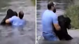 chimp, rescue, amazing, best rescue, amazing save, chimpanzee, ape, zoo incident,