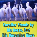 Cavalier Stands by his horse