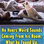 He Hears Weird Sounds Coming From his Room