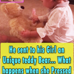 He sent to his Girl an Unique teddy Bear