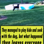 They managed to play hide and seek with the dog